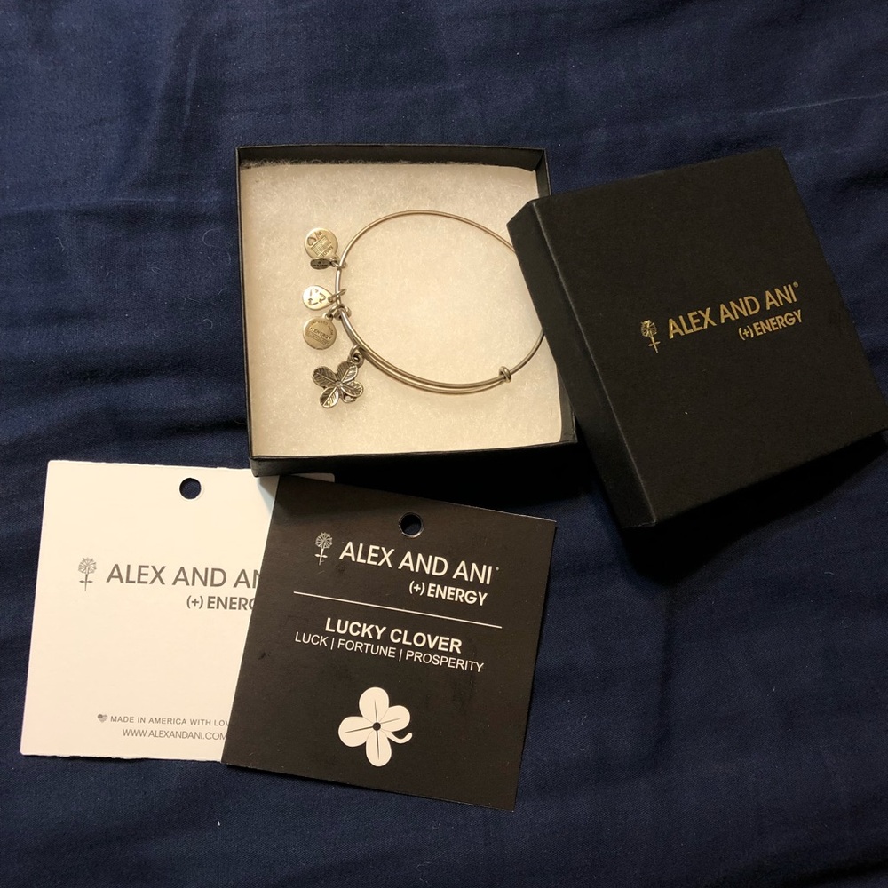 Alex and Ani Bracelet